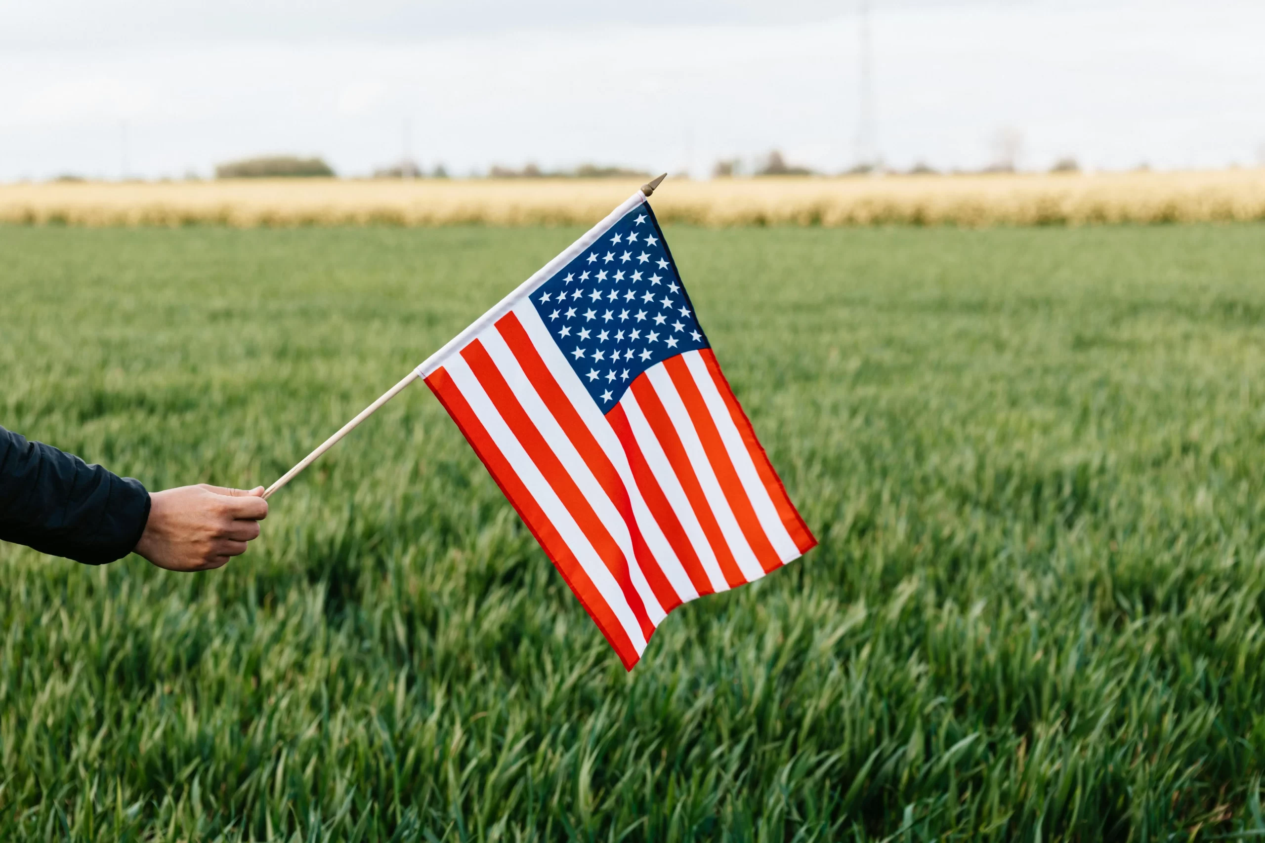 france vs united states